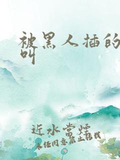 被黑人插的嗷嗷叫