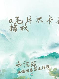 a毛片不卡在线播放