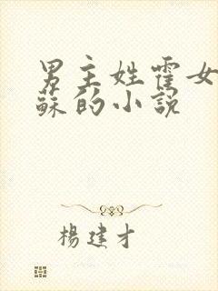 男主姓霍女主姓苏的小说