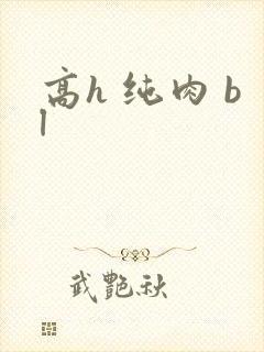 高h 纯肉 bl