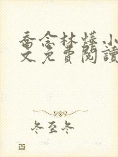 乔念林烨小说全文免费阅读无弹窗