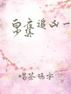 白夜追凶一共多少集