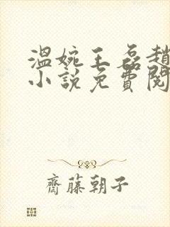 温婉王磊赵叔的小说免费阅读全文