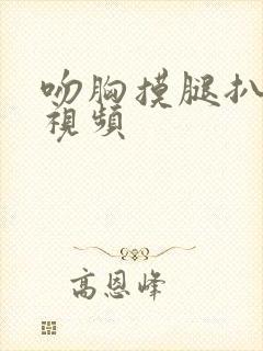 吻胸摸腿扒内裤视频