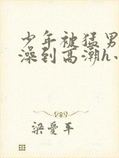 少年被猛男轮流澡到高潮h小说