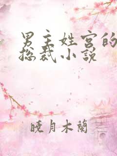 男主姓宫的现代总裁小说