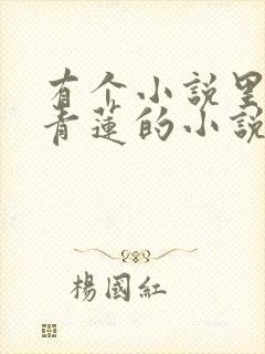 有个小说里面叫青莲的小说