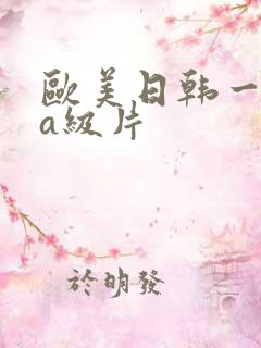 欧美日韩一级片a级片