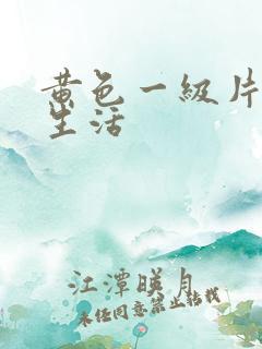 黄色一级片夫妻生活