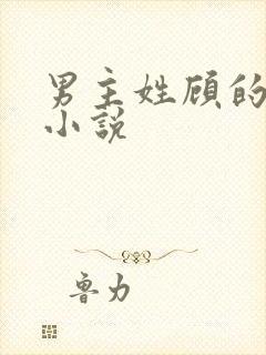 男主姓顾的全部小说