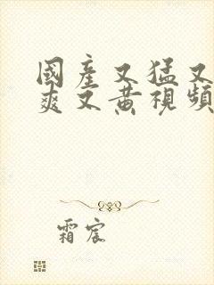 国产又猛又粗又爽又黄视频