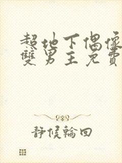 超地下偶像动漫双男主免费观看动漫