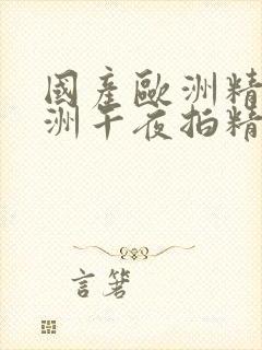 国产欧洲精品亚洲午夜拍精品