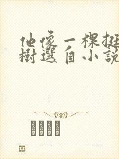 他像一棵挺脱的树选自小说《骆驼祥子》