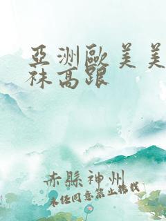 亚洲欧美美腿丝袜高跟