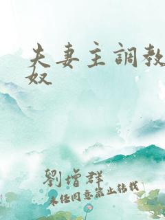 夫妻主调教夫妻奴