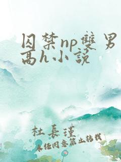 囚禁np双男主高h小说