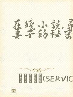 在线小说,寻找妻子的秘密