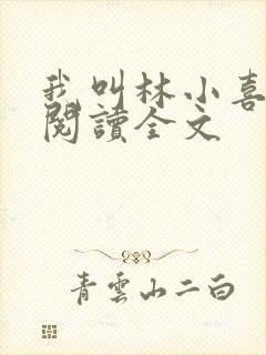 我叫林小喜免费阅读全文