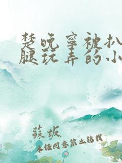 楚晚宁被扒开双腿玩弄的小说