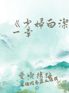 《少妇白洁》第一章