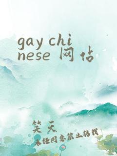 gay chinese 网站