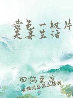 黄色一级片中国夫妻生活