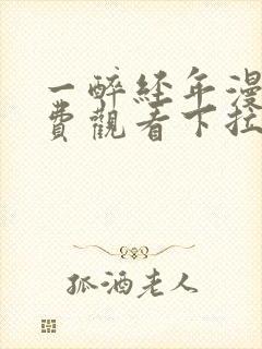 一醉经年漫画免费观看下拉式
