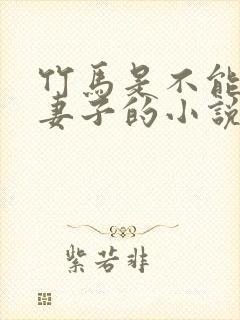 竹马是不能变成妻子的小说笔趣阁