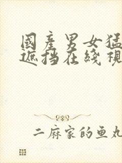 国产男女猛烈无遮挡在线视频网站