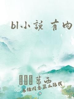 bl小说 有肉