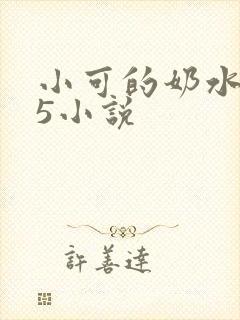小可的奶水1～5小说