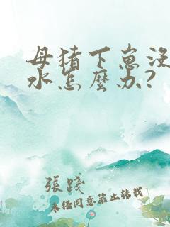 母猪下崽没有奶水怎么办?