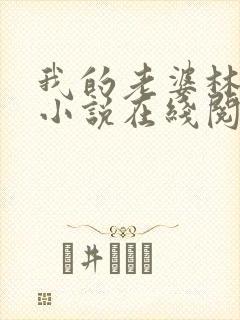 我的老婆林慧茹小说在线阅读无弹窗