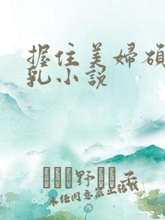 握住美妇硕大双乳小说