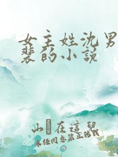 女主姓沈男主姓裴的小说