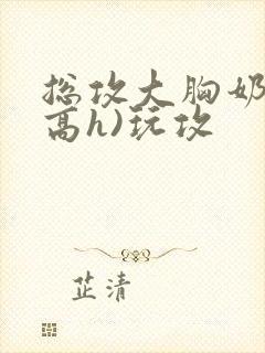 总攻大胸奶汁(高h)玩攻