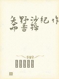 矢野沙纪作品封面番号