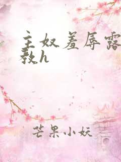 主奴羞辱露出调教h