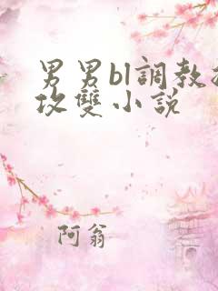 男男bl调教总攻双小说