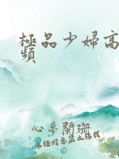 极品少妇高清视频