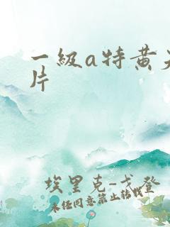 一级a特黄夫妻片