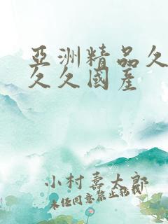 亚洲精品久久久久久国产