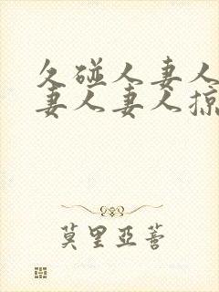 久碰人妻人妻人妻人妻人掠