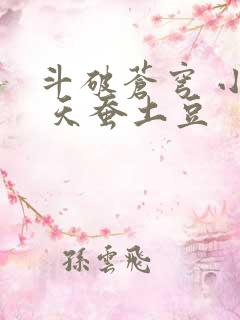 斗破苍穹 小说 天蚕土豆