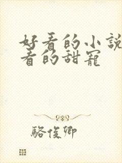 好看的小说女生看的甜宠