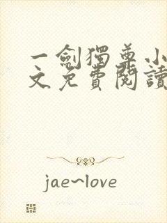 一剑独尊小说全文免费阅读无弹窗