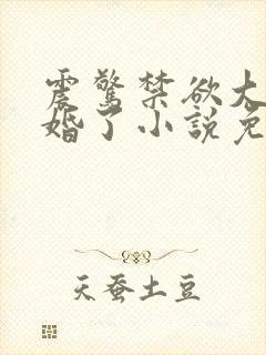 震惊禁欲大佬闪婚了小说免费阅读