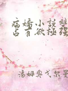 病娇小说双男主占有欲极强囚宠干净