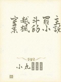 穿越斗罗主角是叶枫的小说